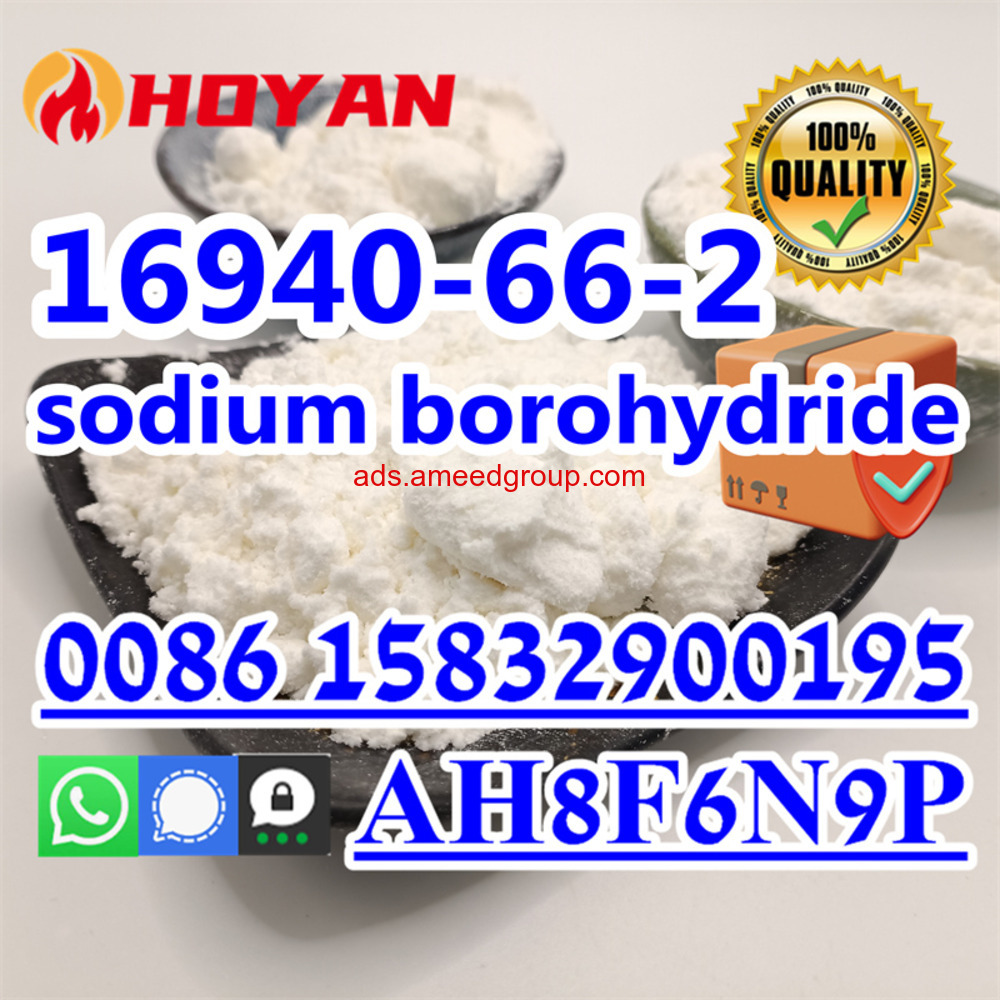 Sodium Borohydride SBH 16940-66-2 hot sell in Mexico