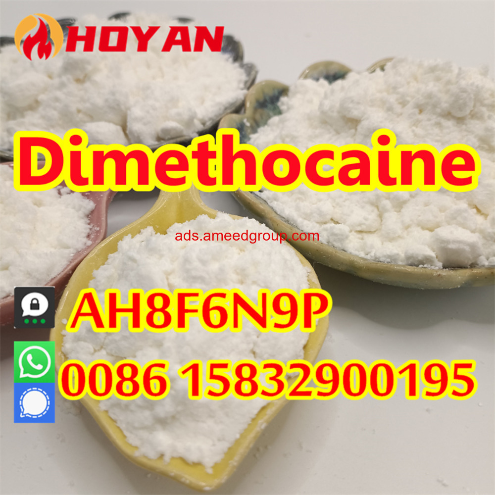 Dimethocaine manufacturer Hoyan Pharmaceutical supply CAS 553-63-9